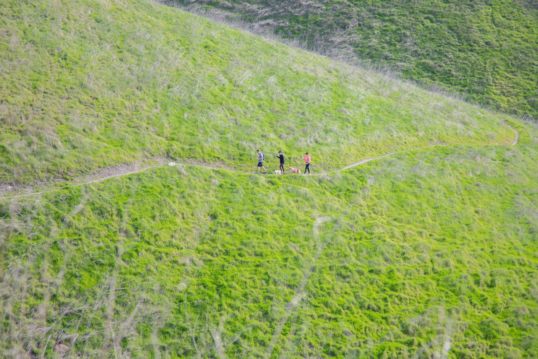 012520 Pismo Preserve 19.jpg